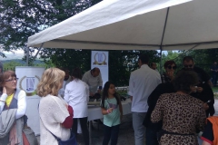 gklinavos4_enosi_gastronomias_ellados